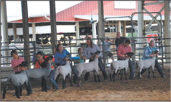 Washington County Fair Junior Livestock  Auction Celebrates 50 Years