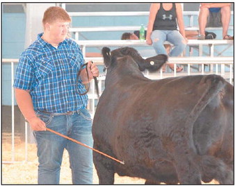 2019 Fond du Lac County Fair Blue Ribbon Winners