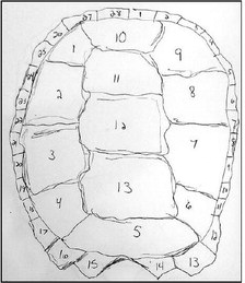 Part 8: What Was  Lost: Reverence  For Turtles