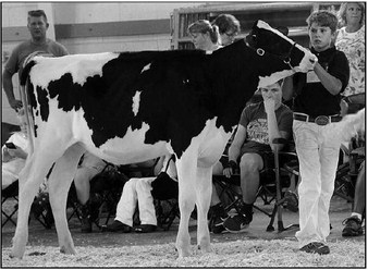 2020 Fond du Lac County Fair Blue Ribbon Winners