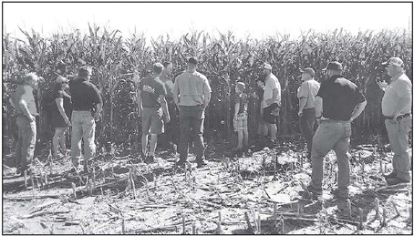 Sheboygan River Progressive Farmers Group  Digs Into Interseeding At Field Day 