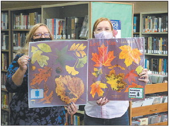 Kewaskum Public Library  Offers StoryWalk