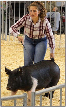 2020 Fond du Lac County Fair Blue Ribbon Winners