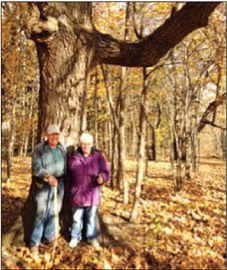 A Quest for Trail-marker  Trees: The Messner Tree