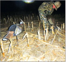 Youth Turkey Hunt