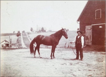 A Horse in St. Kilian