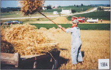 ‘This is Empire Threshing Association Performing’