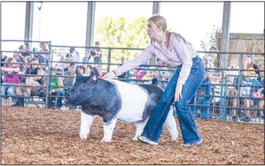 Washington County Fair