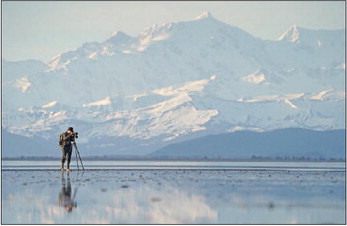 Counting Red Knots for Conservation