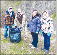 County Task Force on UW-Extension  Issues Group’s Results