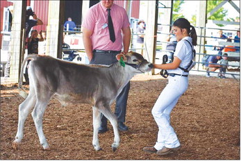 Washington County Fair